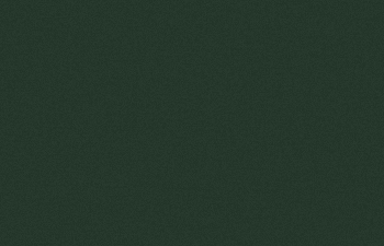 RAL 6009 Texturado